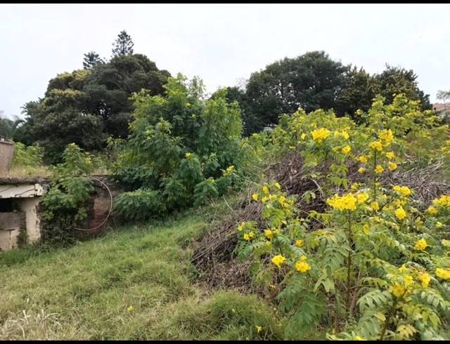 LAND FOR SALE IN LA LUCIA